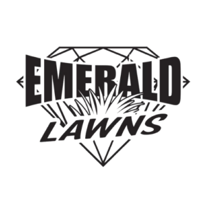 Emerald Lawns Favicon Rettig Digital Web Design